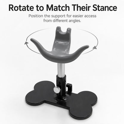 Rotatable dog grooming saddle support direction