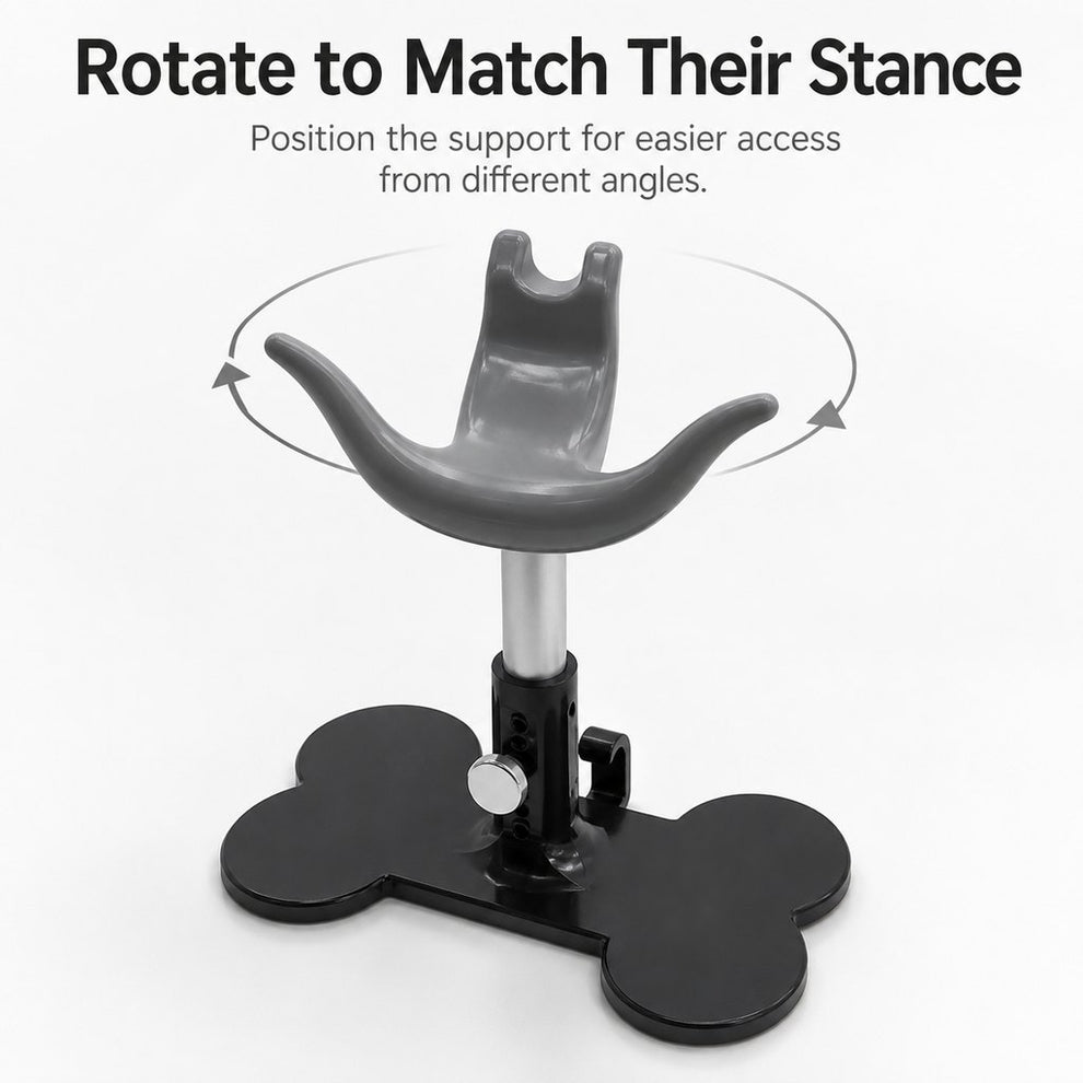 Rotatable dog grooming saddle support direction