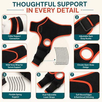 Thoughtful support details on open-knee dog brace with collar strap