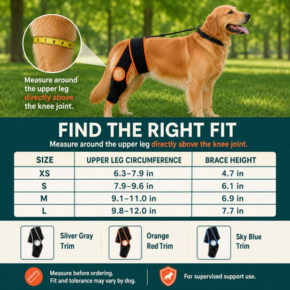 Size guide for adjustable dog knee brace with collar support strap