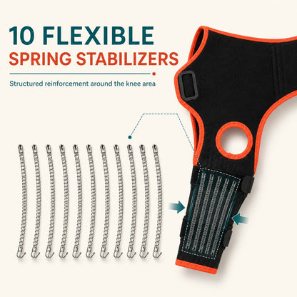 Ten flexible spring stabilizers inside dog knee brace