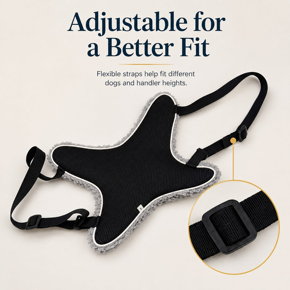 Paws in Awe Dog Lift Support Sling for Stairs & Walks - Adjustable Mobility Harness for Senior Dogs with Weak Legs image 7