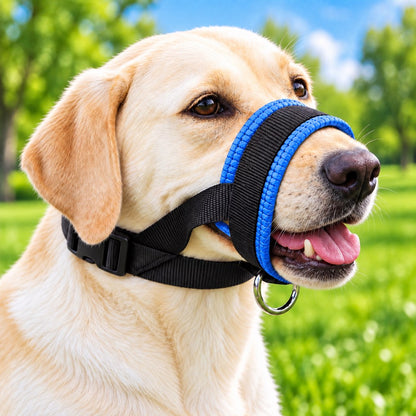 Blue padded adjustable dog muzzle for supervised walks and training