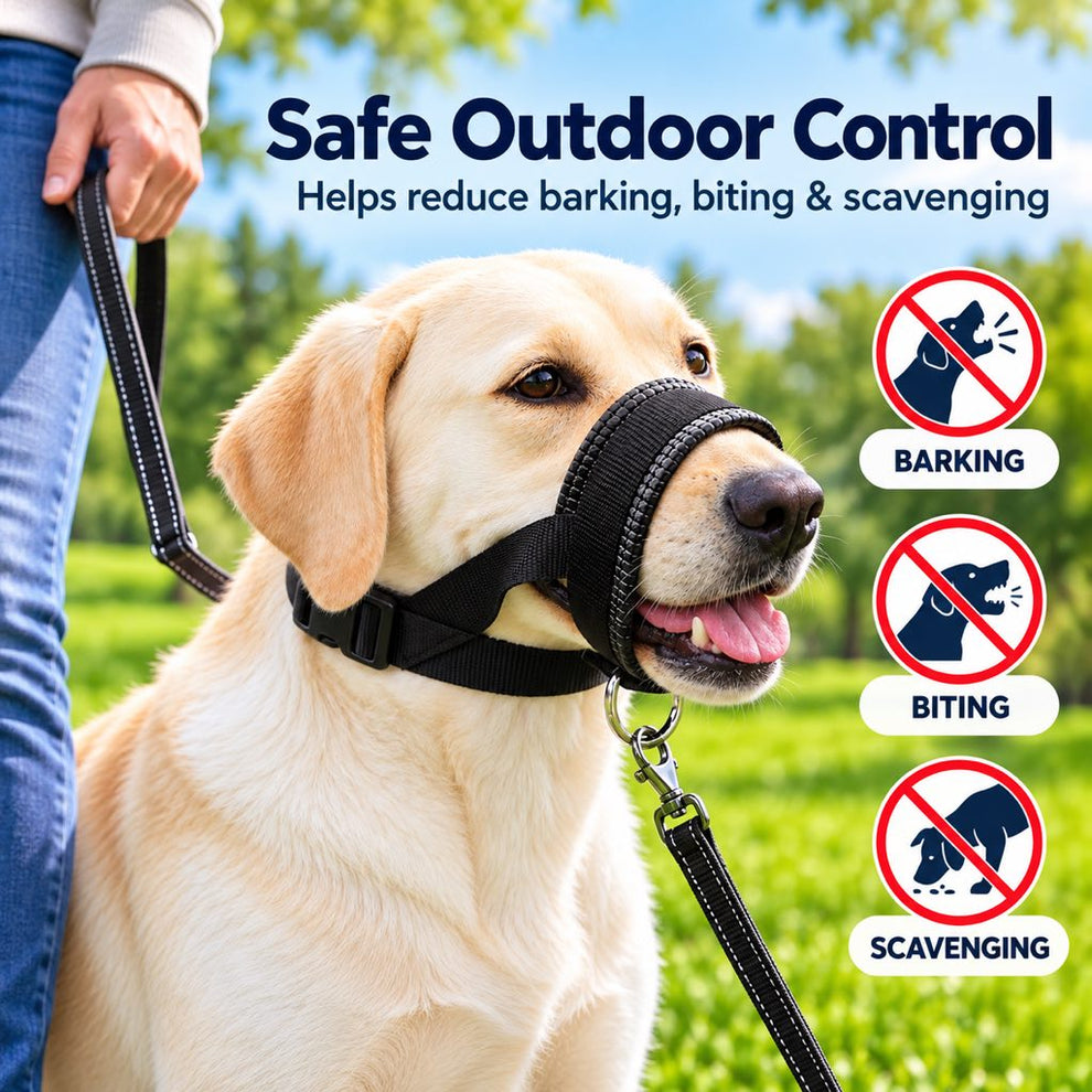 Padded dog muzzle for supervised outdoor control