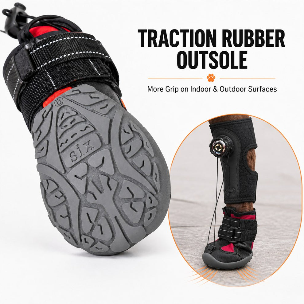 Adjustable dog paw-lift support boot detail for rear leg support