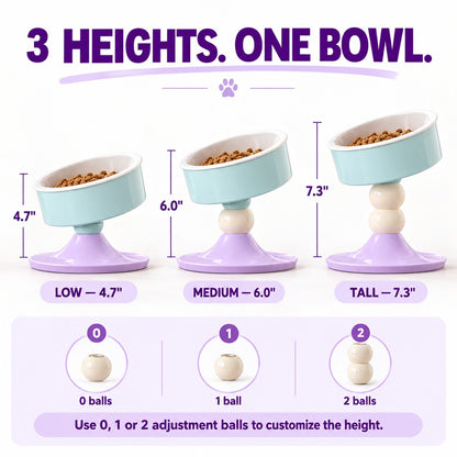 Three adjustable heights on elevated ceramic pet bowl