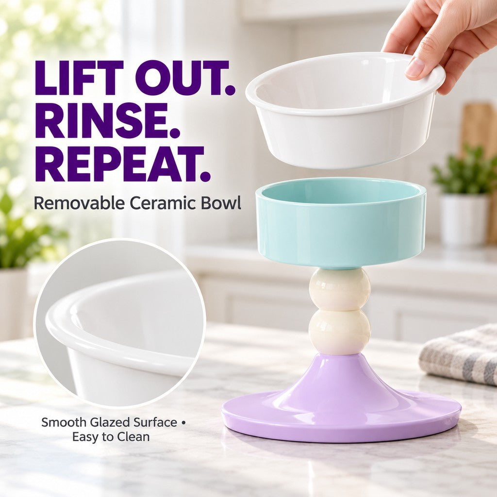 Removable ceramic bowl for convenient cleaning