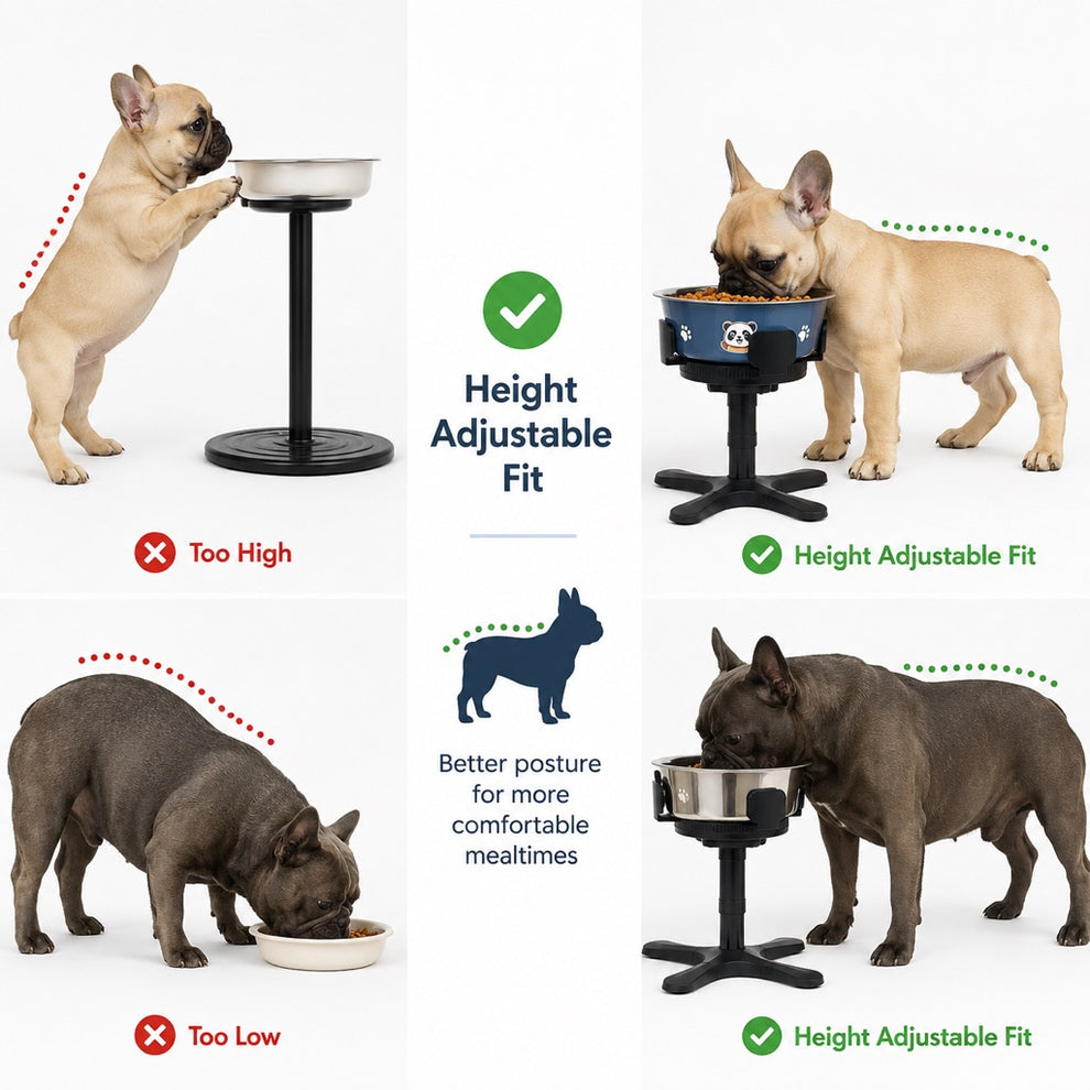 Adjustable elevated dog bowl product details