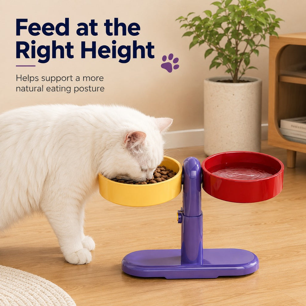 Adjustable Elevated Pet Bowl for Cats & Small Dogs - Space-Saving Wall-Mount or Freestanding Feeder for Cleaner Mealtimes image 5