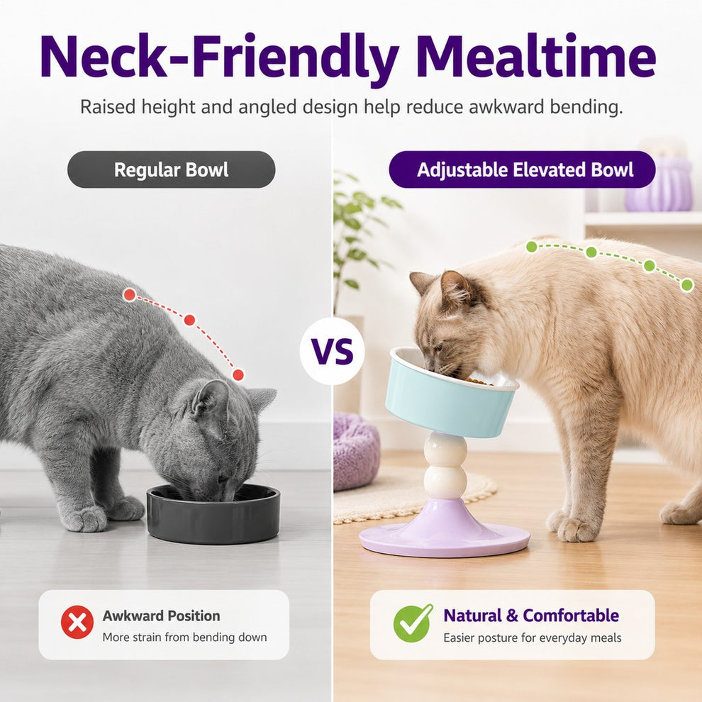Paws in Awe Adjustable Elevated Pet Bowl for Cats & Small Dogs - 3 Height Modes for Comfortable Feeding image 6