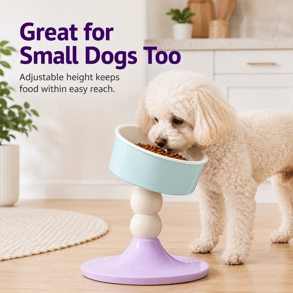 Paws in Awe Adjustable Elevated Pet Bowl for Cats & Small Dogs - 3 Height Modes for Comfortable Feeding image 4