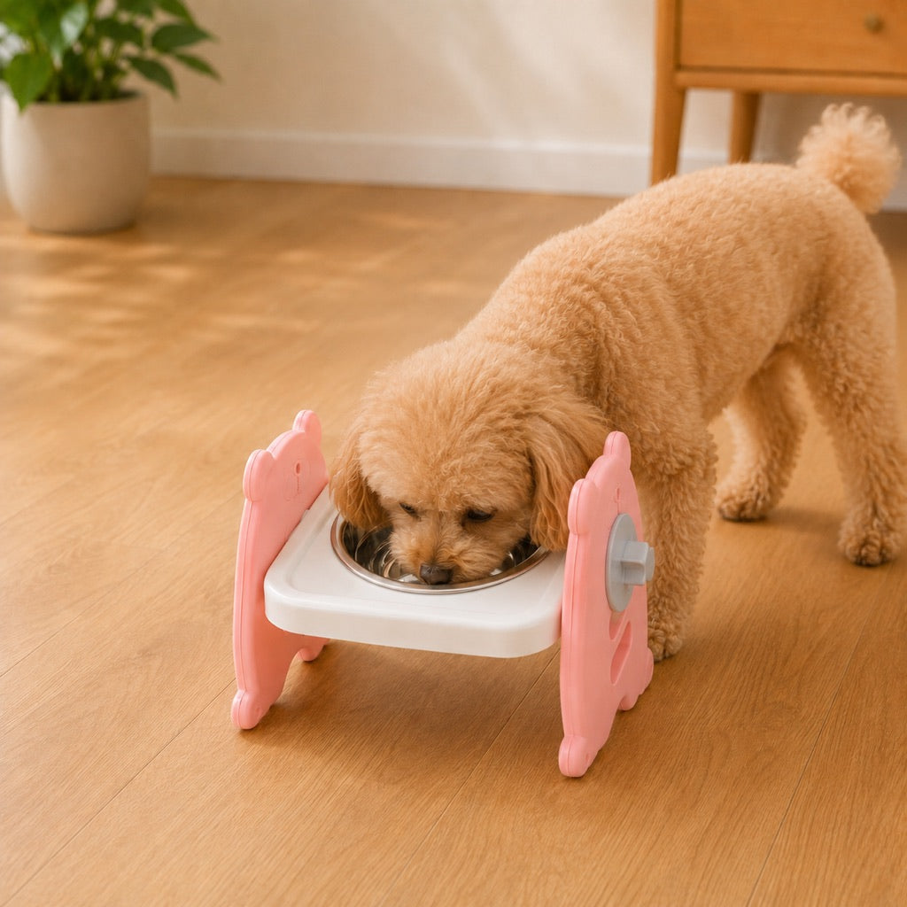 Adjustable elevated pet bowls size and product details