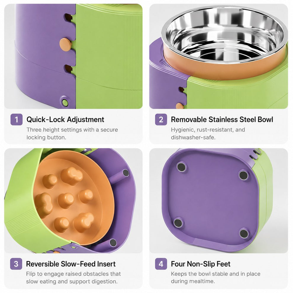 Adjustable elevated slow feeder bowl detail collage