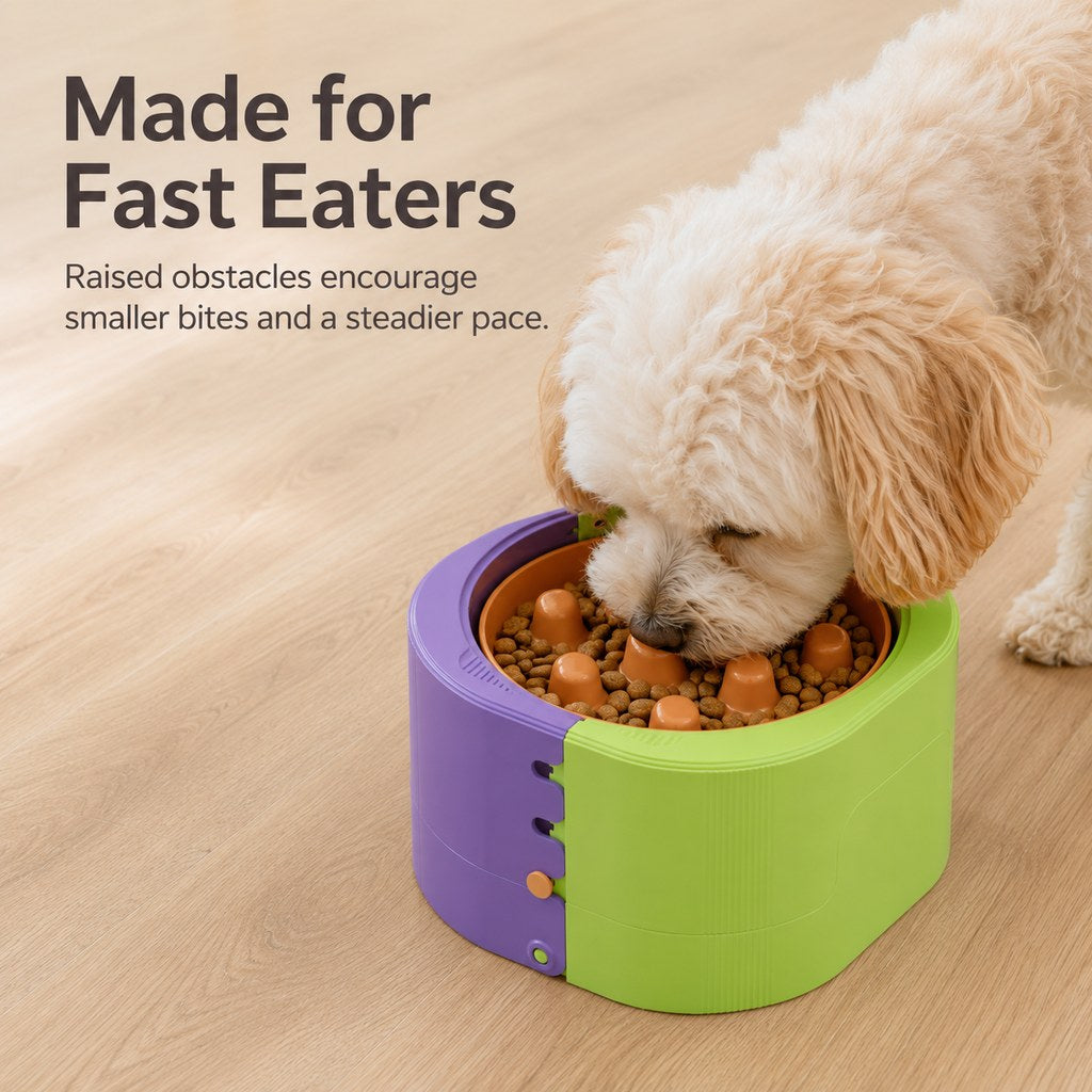Slow feeder elevated bowl for fast eaters