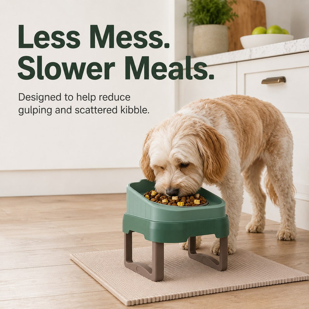 Paws in Awe Adjustable Elevated Slow Feeder Pet Bowl for Cats & Small Dogs - Less Mess, Slower Meals & Easy Cleaning image 6