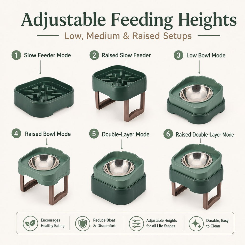 Paws in Awe Adjustable Elevated Slow Feeder Pet Bowl for Cats & Small Dogs - Less Mess, Slower Meals & Easy Cleaning image 3