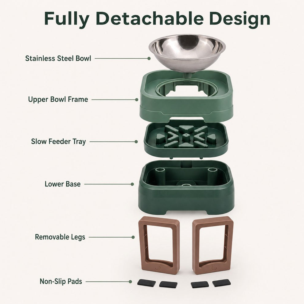 Paws in Awe Adjustable Elevated Slow Feeder Pet Bowl for Cats & Small Dogs - Less Mess, Slower Meals & Easy Cleaning image 8