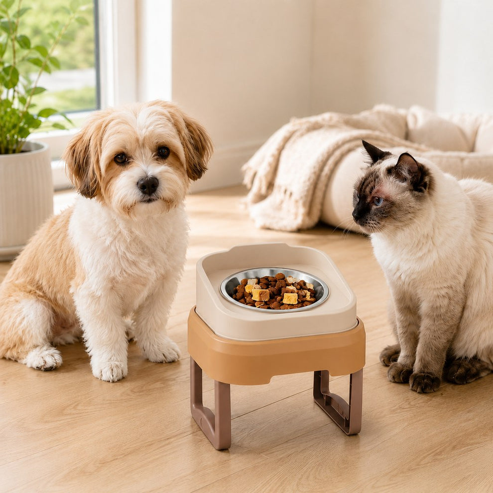 Paws in Awe Adjustable Elevated Slow Feeder Pet Bowl for Cats & Small Dogs - Less Mess, Slower Meals & Easy Cleaning image 12