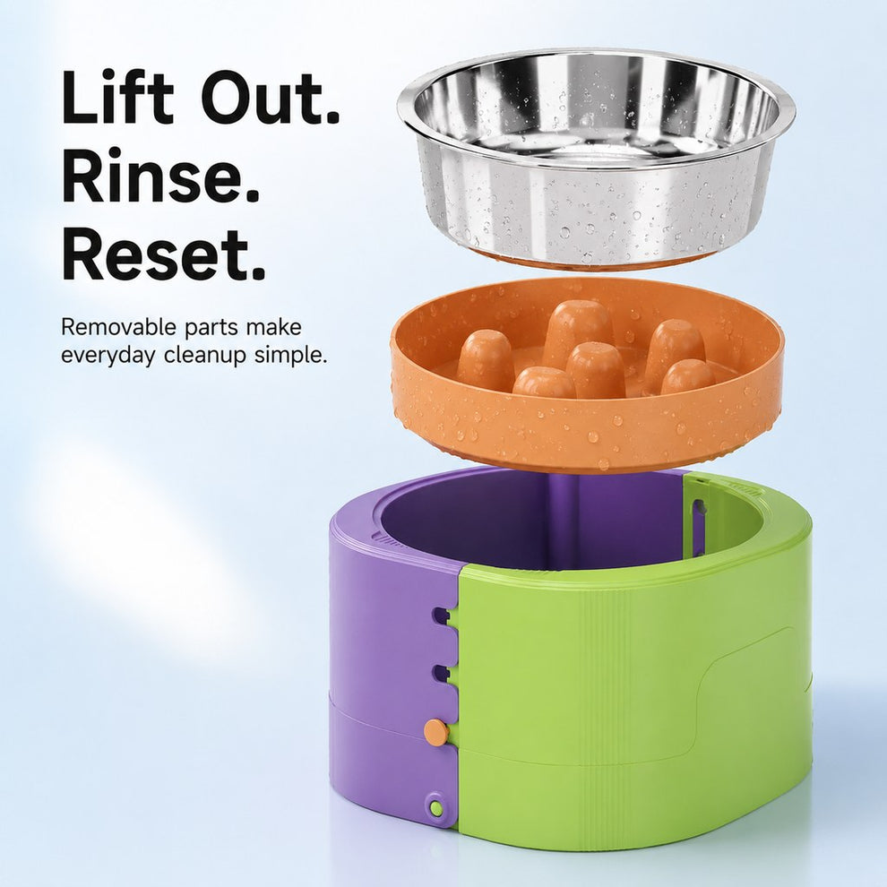 Removable stainless steel pet bowl with slow feeder insert