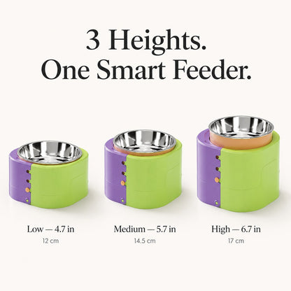 3 heights adjustable elevated slow feeder bowl feature