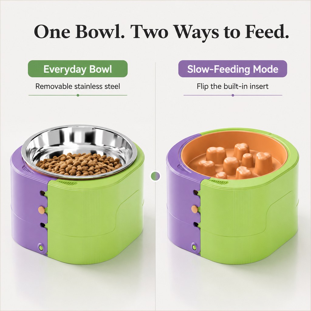 Elevated pet bowl with stainless steel bowl and slow feeder insert