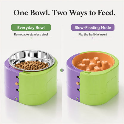 Elevated pet bowl with stainless steel bowl and slow feeder insert
