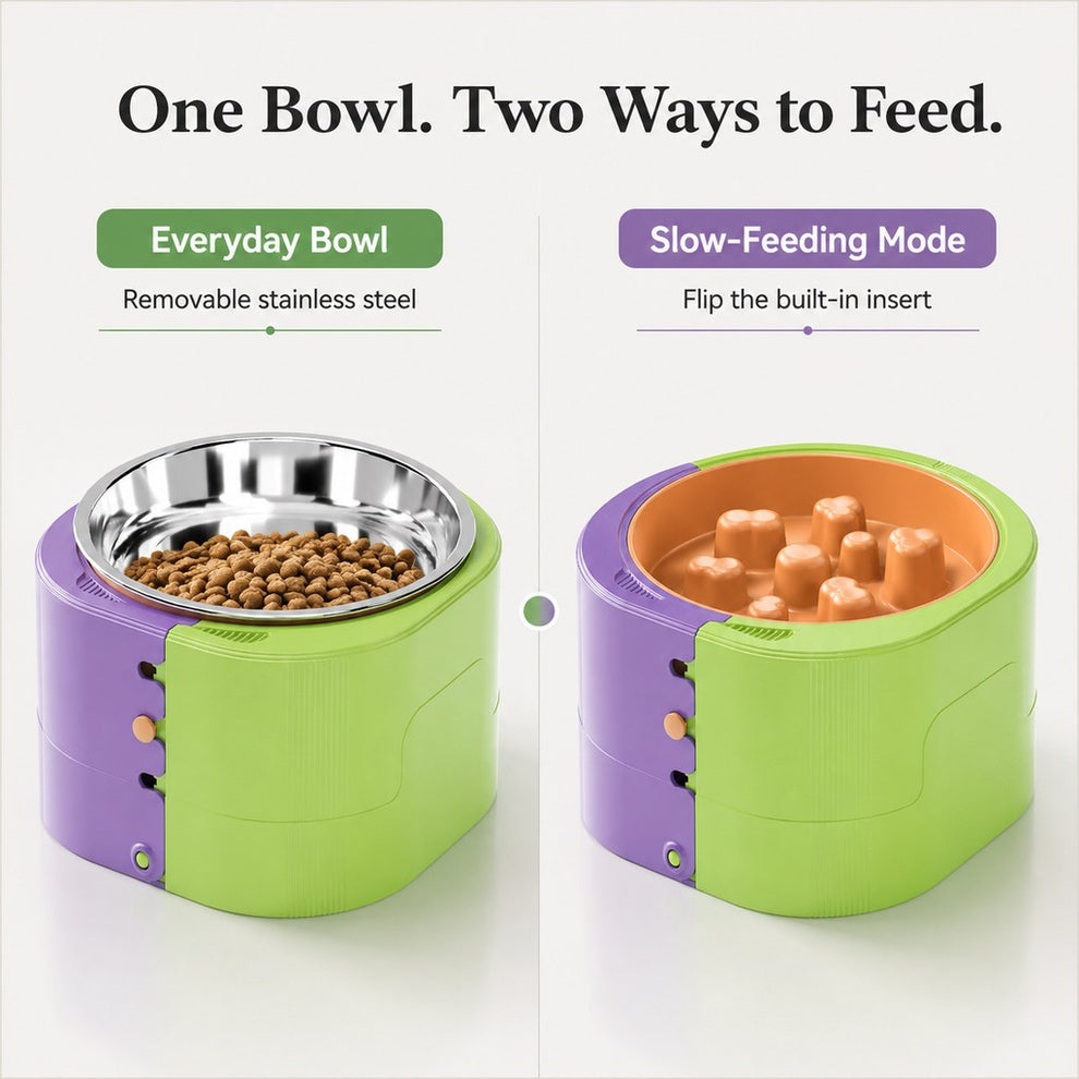 Elevated pet bowl with stainless steel bowl and slow feeder insert