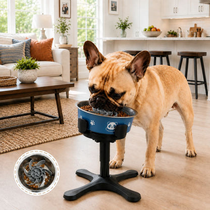 Adjustable height tilted dog bowl blue bowl wide lifestyle image