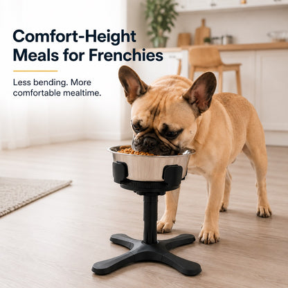 Adjustable height tilted dog bowl stand for flat faced dogs