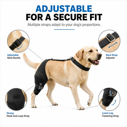 Adjustable straps for a secure fit on dog knee brace