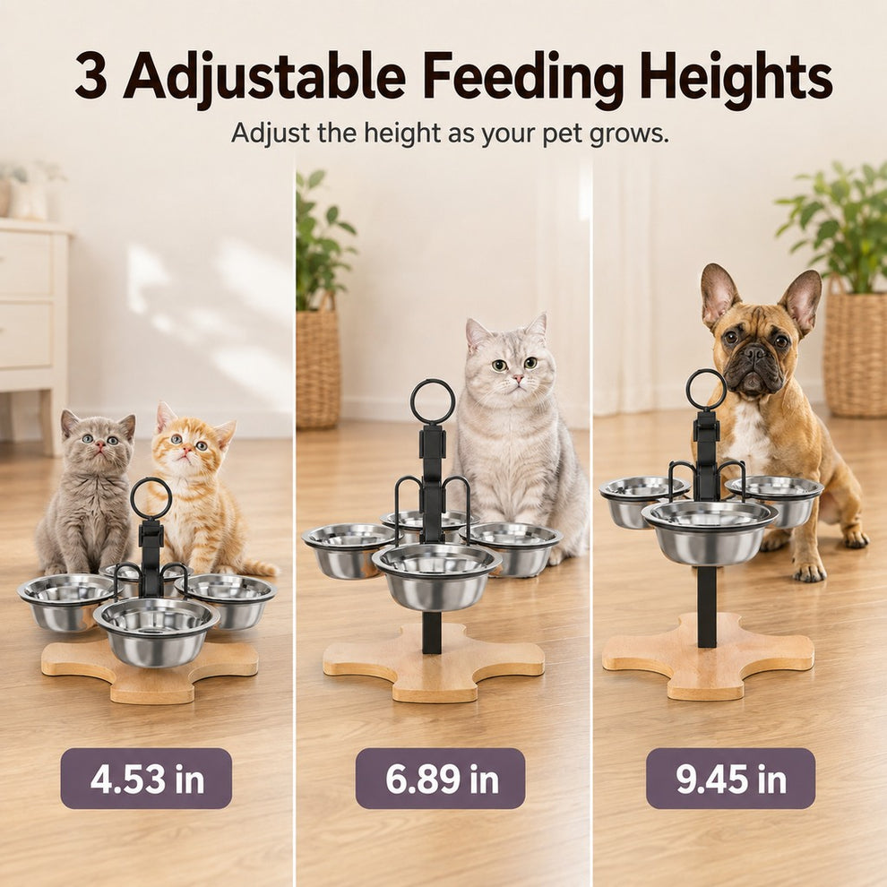 Paws in Awe 4-Bowl Adjustable Elevated Pet Feeder for Cats & Small Dogs - Organized Food and Water Station image 8