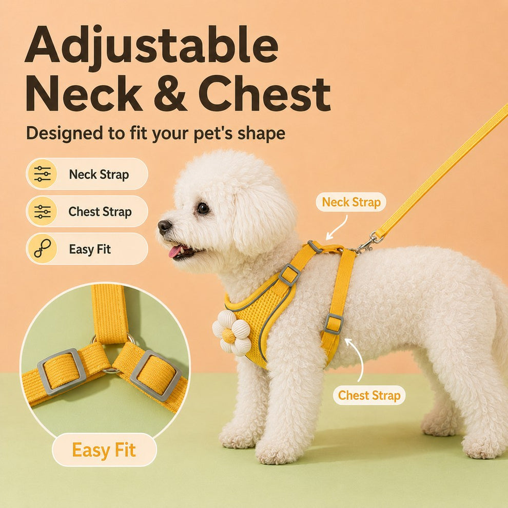 Paws in Awe Daisy Pet Harness & Leash Set for Daily Walks - Adjustable, Breathable Comfort for Small Dogs & Cats image 4