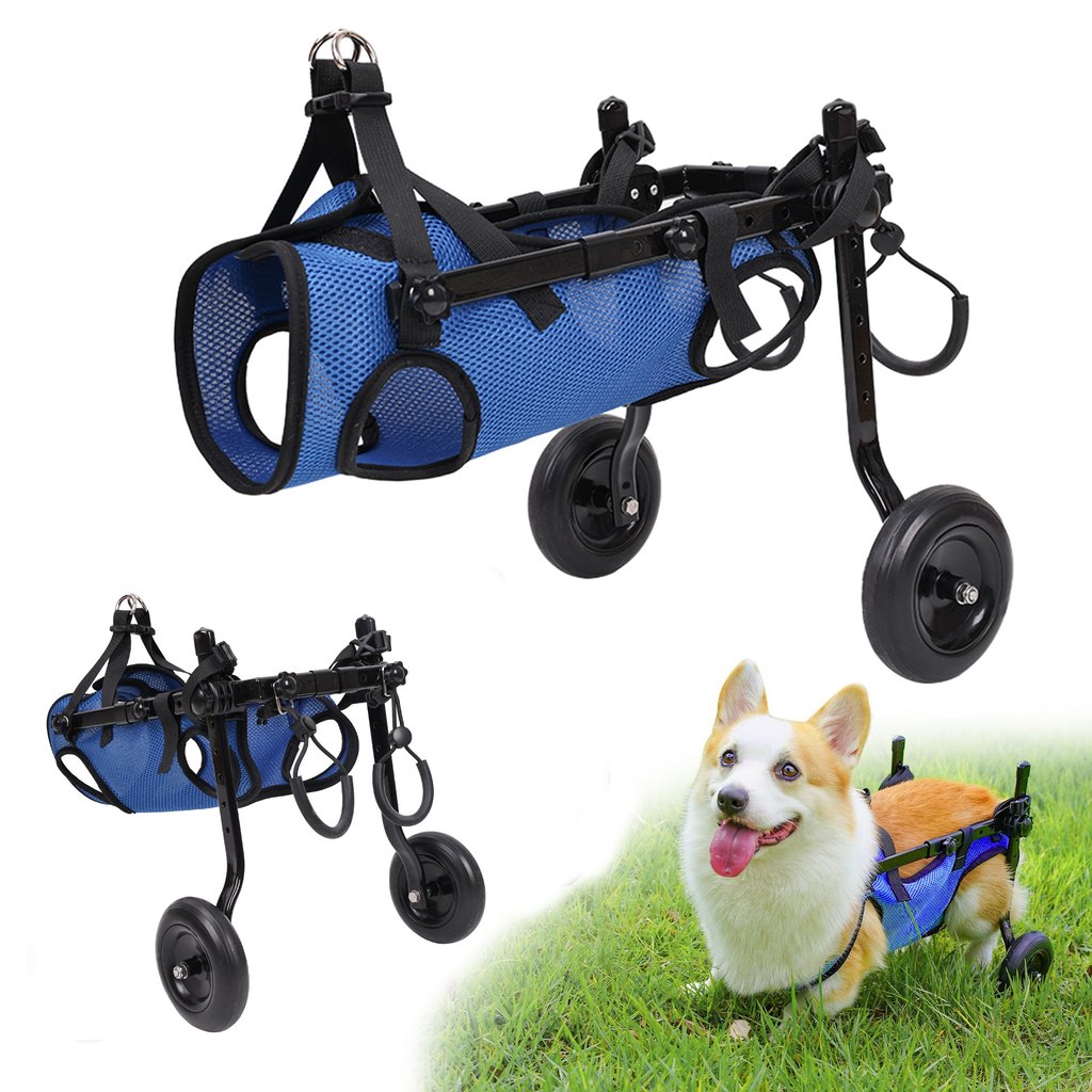 Paws in Awe Adjustable Rear Leg Dog Wheelchair for Daily Walks - Mobility Support Cart for Small Dogs with Weak Back Legs image 11