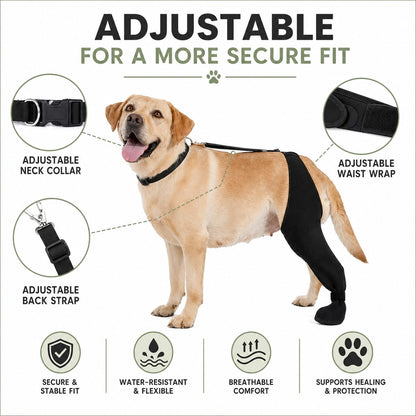 Adjustable secure fit dog rear leg recovery sleeve