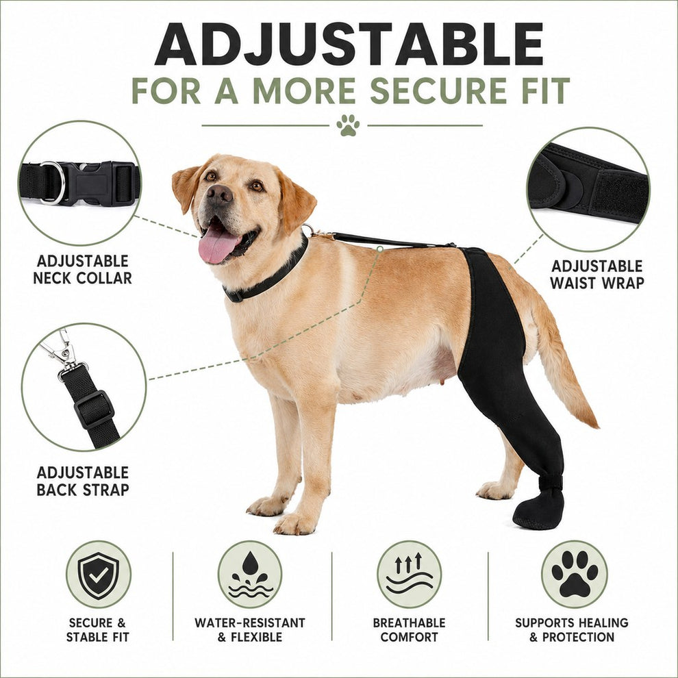 Adjustable secure fit dog rear leg recovery sleeve