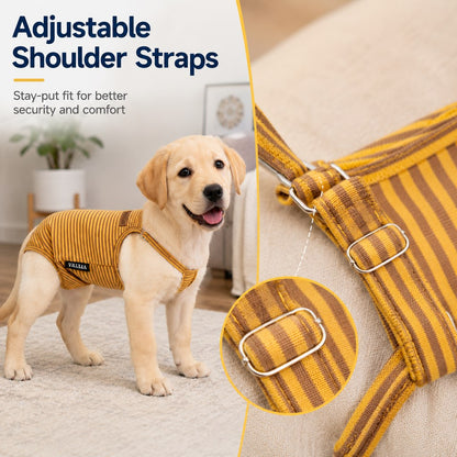 Paws in Awe Washable Female Dog Heat Pants for Home & Furniture Protection - Adjustable Sanitary Diaper with Shoulder Straps image 5