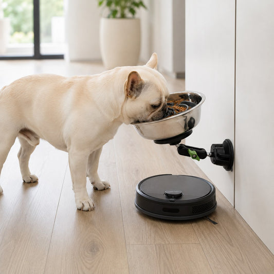 Accessory-only mounting discs warning for adjustable suction slow feeder bowl