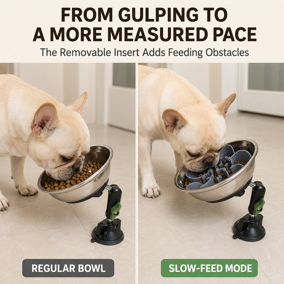 Paws in Awe Adjustable Suction-Mount Slow Feeder Bowl for French Bulldogs, Cats & Small-to-Medium Dogs - Floor or Vertical Setup Helps Reduce Sliding image 7