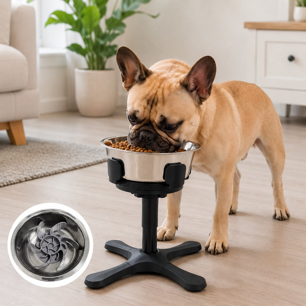 Paws in Awe French Bulldog Adjustable Elevated Tilted Dog Bowl for Kitchen Feeding Corners - 3-Height Stand with Slow Feeder Insert to Reduce Neck Bending & Mess image 15
