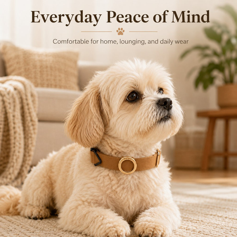 Paws in Awe AirTag-Compatible Pet Collar Holder for Cats & Small Dogs - No-Dangle Tracker Protection for Home, Walks & Everyday Pet Safety image 3