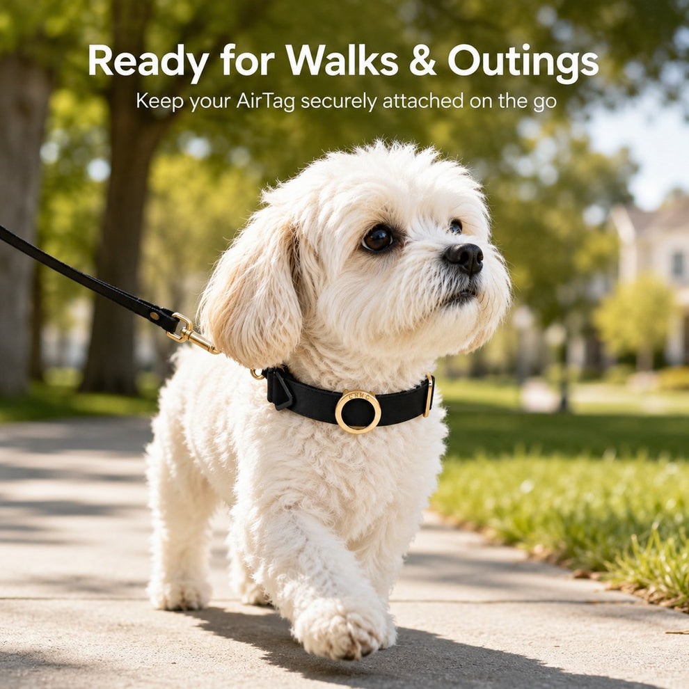 Paws in Awe AirTag-Compatible Pet Collar Holder for Cats & Small Dogs - No-Dangle Tracker Protection for Home, Walks & Everyday Pet Safety image 4