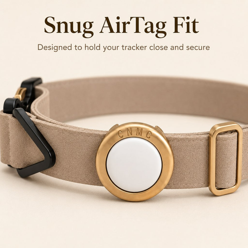 Paws in Awe AirTag-Compatible Pet Collar Holder for Cats & Small Dogs - No-Dangle Tracker Protection for Home, Walks & Everyday Pet Safety image 5