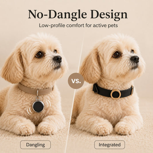 Paws in Awe AirTag-Compatible Pet Collar Holder for Cats & Small Dogs - No-Dangle Tracker Protection for Home, Walks & Everyday Pet Safety image 2