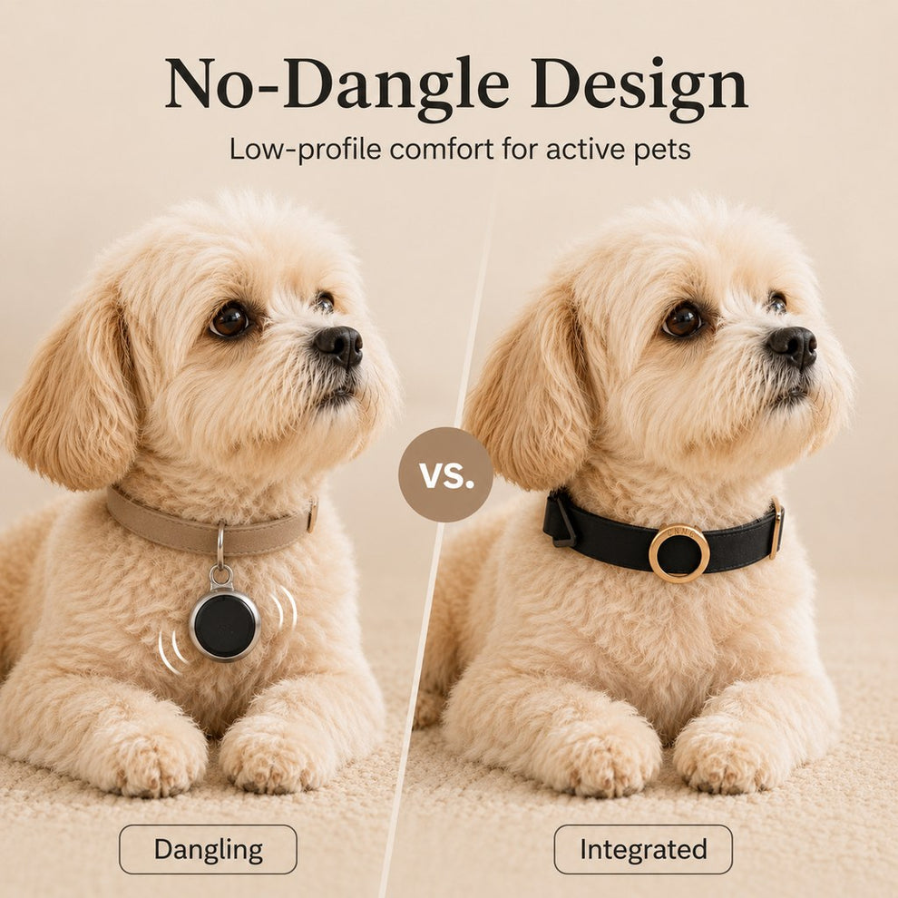 Paws in Awe AirTag-Compatible Pet Collar Holder for Cats & Small Dogs - No-Dangle Tracker Protection for Home, Walks & Everyday Pet Safety image 2
