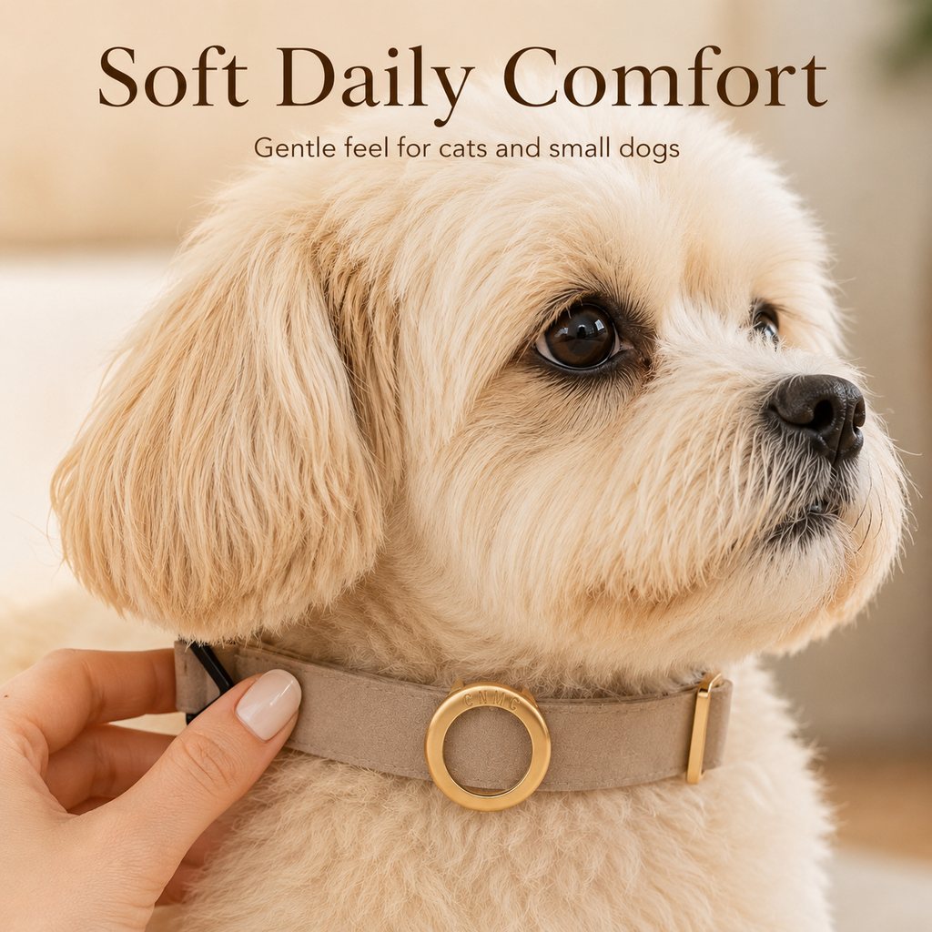Paws in Awe AirTag-Compatible Pet Collar Holder for Cats & Small Dogs - No-Dangle Tracker Protection for Home, Walks & Everyday Pet Safety image 7