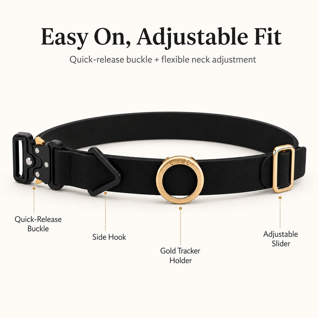 Paws in Awe AirTag-Compatible Pet Collar Holder for Cats & Small Dogs - No-Dangle Tracker Protection for Home, Walks & Everyday Pet Safety image 6