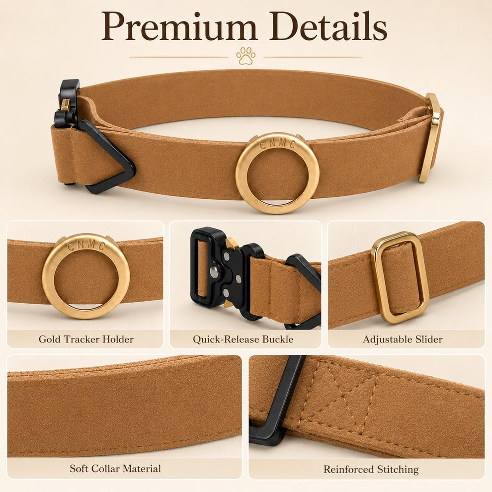 Paws in Awe AirTag-Compatible Pet Collar Holder for Cats & Small Dogs - No-Dangle Tracker Protection for Home, Walks & Everyday Pet Safety image 8