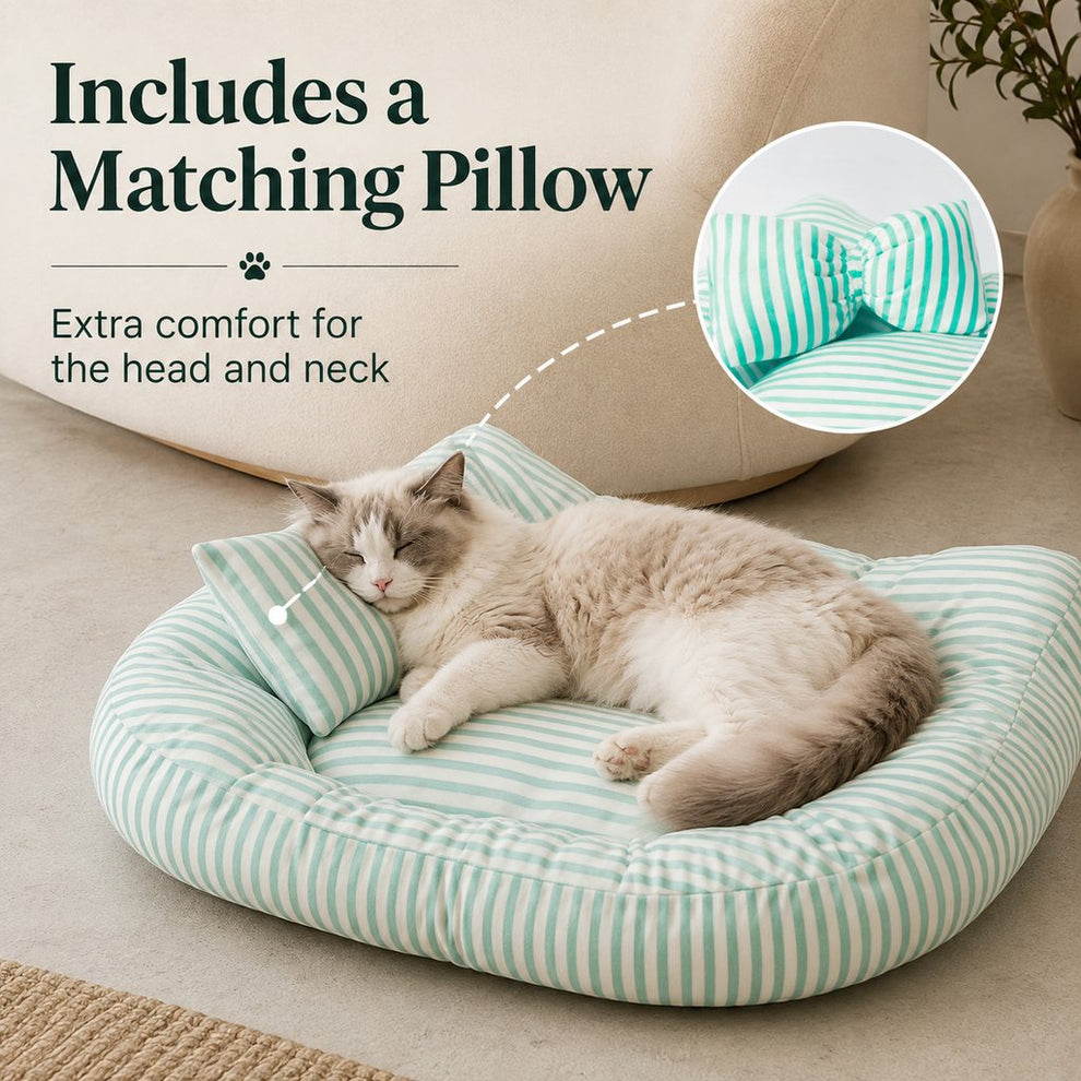 Paws in Awe All-Season Bolster Pet Bed with Pillow for Cats & Small Dogs - Soft Raised-Edge Support for Indoor Naps image 4
