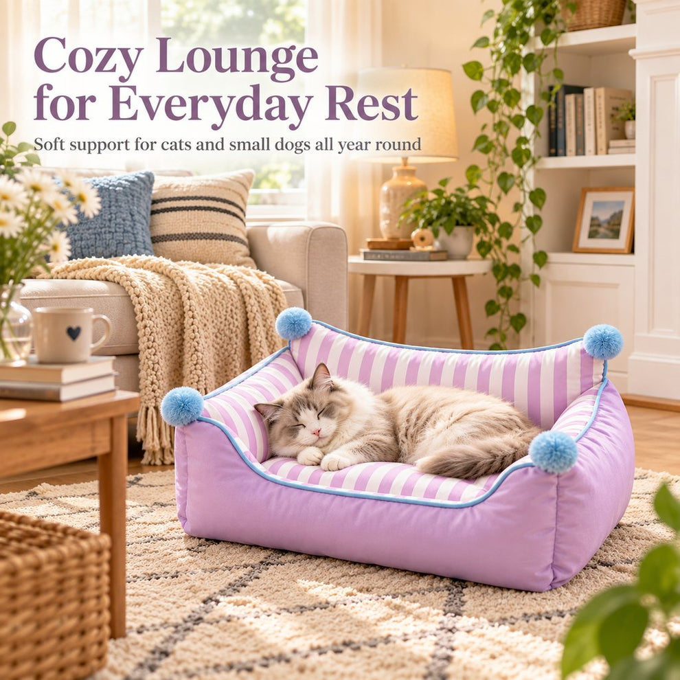 Paws in Awe All-Season Pet Sofa Bed with Supportive Bolsters & Pillow for Cats and Small Dogs image 3