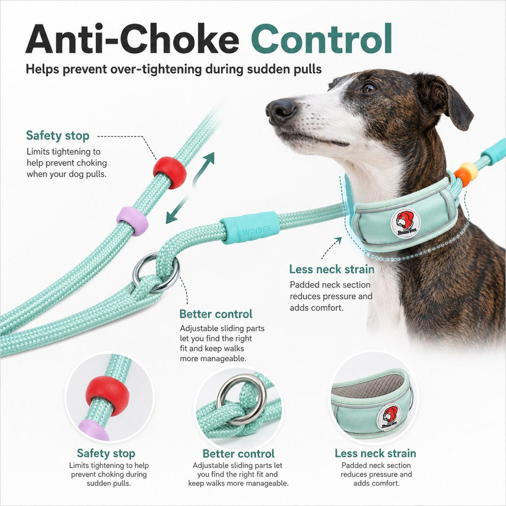 Paws in Awe Anti-Choke Dog Leash for Everyday Walks - Padded Neck Protection & Better Control for Pullers image 7